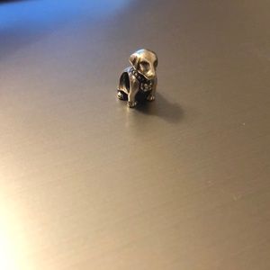 Dog Pandora Charm